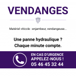 Vendange_HYDRORENOVATION